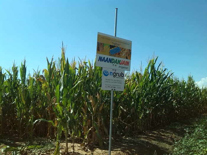 Nota de prensa: NAANDANJAIN, CON SEDE EN ALMERÍA, LOGRA UN AHORRO DE AGUA DEL 40% AL FINALIZAR CON ÉXITO EN EL CANAL SEGARRA-GARRIGUES (LLEIDA) LA IMPLANTACIÓN DE LA MAYOR FINCA EUROPEA CON EL SISTEMA DE RIEGO SUBSUPERFICIAL PARA CULTIVOS EXTENSIVOS