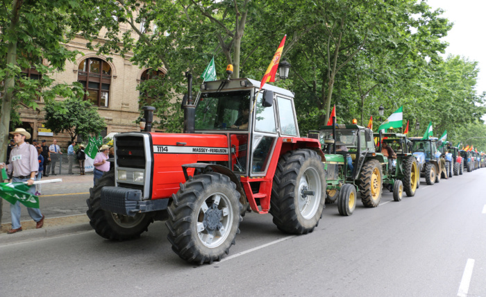 REGANTES DE TORRE DEL ÁGUILA (UTRERA) EXIGEN A LAS PUERTAS DE LA CHG LA CONEXIÓN URGENTE CON EL CANAL DEL BAJO GUADALQUIVIR TRAS PERDER UNA CAMPAÑA VALORADA EN 10 MILLONES DE EUROS REGANTES DE TORRE DEL ÁGUILA (UTRERA) EXIGEN A LAS PUERTAS DE LA CHG LA CONEXIÓN URGENTE CON EL CANAL DEL BAJO GUADALQUIVIR TRAS PERDER UNA CAMPAÑA VALORADA EN 10 MILLONES DE EUROS