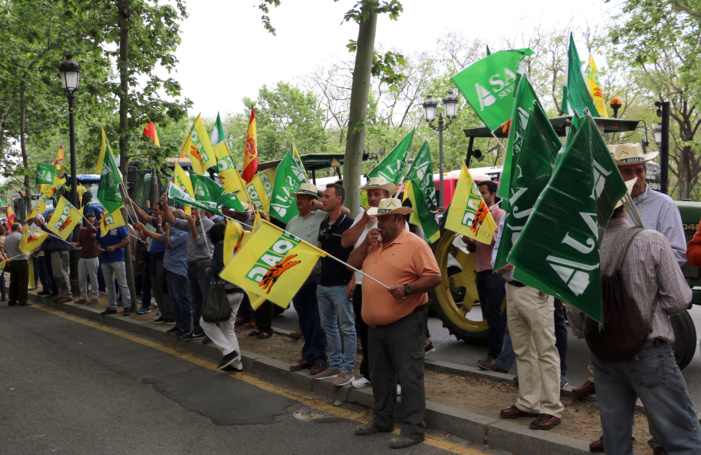 REGANTES DE TORRE DEL ÁGUILA (UTRERA) EXIGEN A LAS PUERTAS DE LA CHG LA CONEXIÓN URGENTE CON EL CANAL DEL BAJO GUADALQUIVIR TRAS PERDER UNA CAMPAÑA VALORADA EN 10 MILLONES DE EUROS REGANTES DE TORRE DEL ÁGUILA (UTRERA) EXIGEN A LAS PUERTAS DE LA CHG LA CONEXIÓN URGENTE CON EL CANAL DEL BAJO GUADALQUIVIR TRAS PERDER UNA CAMPAÑA VALORADA EN 10 MILLONES DE EUROS