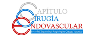 La Dra. Mercedes Guerra Requena, elegida presidente del Capítulo de Cirugía Endovascular de la Sociedad Española de Cirugía Vascular (SEACV)