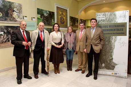 EL COLEGIO DE FARMACÉUTICOS DE SEVILLA ACOGE UNA MUESTRA FOTOGRÁFICA DE OLIVOS DE LA CORDILLERA BÉTICA CON MÁS DE DOS MILENIOS DE VIDA EL COLEGIO DE FARMACÉUTICOS DE SEVILLA ACOGE UNA MUESTRA FOTOGRÁFICA DE OLIVOS DE LA CORDILLERA BÉTICA CON MÁS DE DOS MILENIOS DE VIDA