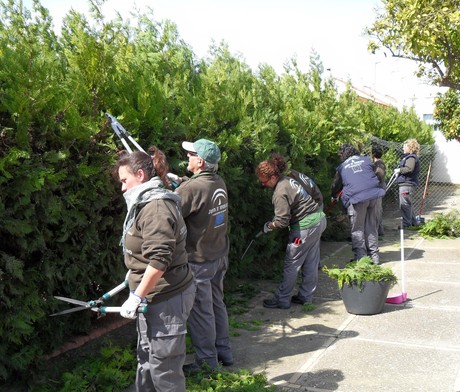 SALTERAS PONE EN MARCHA UN TALLER DE EMPLEO PARA FORMAR A 24 PERSONAS DESMPLEADAS EN EL SECTOR FORESTAL Y DEL MEDIO AMBIENTE SALTERAS PONE EN MARCHA UN TALLER DE EMPLEO PARA FORMAR A 24 PERSONAS DESMPLEADAS EN EL SECTOR FORESTAL Y DEL MEDIO AMBIENTE