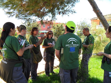 SALTERAS PONE EN MARCHA UN TALLER DE EMPLEO PARA FORMAR A 24 PERSONAS DESMPLEADAS EN EL SECTOR FORESTAL Y DEL MEDIO AMBIENTE SALTERAS PONE EN MARCHA UN TALLER DE EMPLEO PARA FORMAR A 24 PERSONAS DESMPLEADAS EN EL SECTOR FORESTAL Y DEL MEDIO AMBIENTE