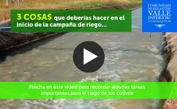 CRR Valle Inferior del Guadalquivir - Tres cosas que deberías hacer en el inicio de la campaña de riego