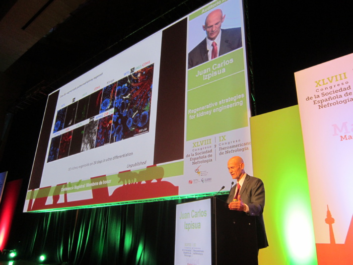 Nota de prensa - Juan Carlos Izpisúa: “Hemos logrado reprogramar las células del riñón en ratones para retrasar su envejecimiento, pero aún nos queda para poder aplicarlo en seres humanos” Nota de prensa - Juan Carlos Izpisúa: “Hemos logrado reprogramar las células del riñón en ratones para retrasar su envejecimiento, pero aún nos queda para poder aplicarlo en seres humanos”