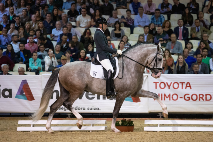 FOTOGRAFÍAS - Yucatán de Ramos, el caballo propiedad de Sergio Ramos, se proclama Campeón del Mundo 2018 en SICAB