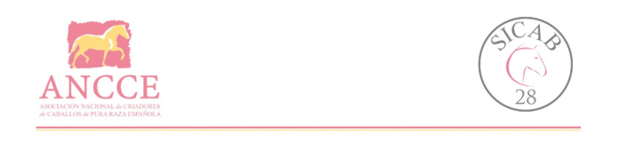 AGENDA SICAB – Domingo 18/11/2018 AGENDA SICAB – Domingo 18/11/2018