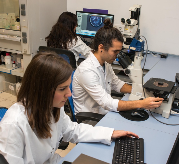 NOTA DE PRENSA: TITANIA SUPERA LOS 3 MILLONES DE EUROS DE VOLUMEN DE NEGOCIO TRAS DUPLICAR SU FACTURACIÓN INTERNACIONAL NOTA DE PRENSA: TITANIA SUPERA LOS 3 MILLONES DE EUROS DE VOLUMEN DE NEGOCIO TRAS DUPLICAR SU FACTURACIÓN INTERNACIONAL