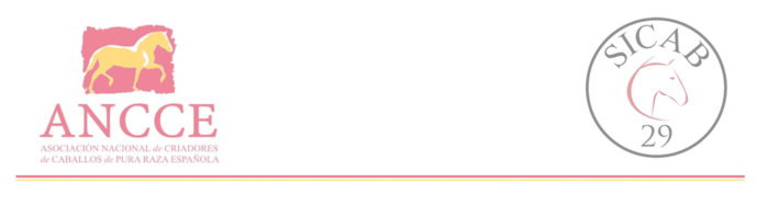 SICAB 2019 - Convocatoria de prensa y gráficos: El Salón Internacional del Caballo (SICAB) recibe el XI Premio ASET de Turismo, otorgado por la Asociación Sevillana de Empresas Turísticas SICAB 2019 - Convocatoria de prensa y gráficos: El Salón Internacional del Caballo (SICAB) recibe el XI Premio ASET de Turismo, otorgado por la Asociación Sevillana de Empresas Turísticas