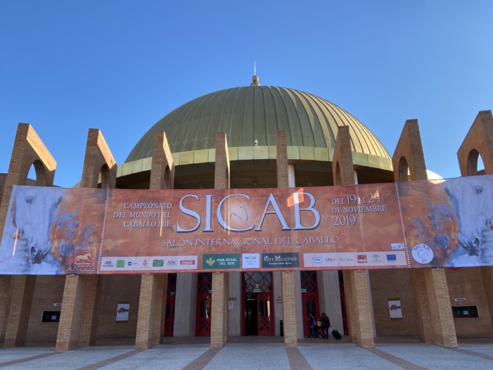 SICAB 2019 ARRANCA MAÑANA EN EL PALACIO DE CONGRESOS DE SEVILLA CON LOS MEJORES CABALLOS PURA RAZA ESPAÑOLA DE TODO EL MUNDO + AGENDA MARTES 19 DE NOVIEMBRE SICAB 2019 ARRANCA MAÑANA EN EL PALACIO DE CONGRESOS DE SEVILLA CON LOS MEJORES CABALLOS PURA RAZA ESPAÑOLA DE TODO EL MUNDO + AGENDA MARTES 19 DE NOVIEMBRE