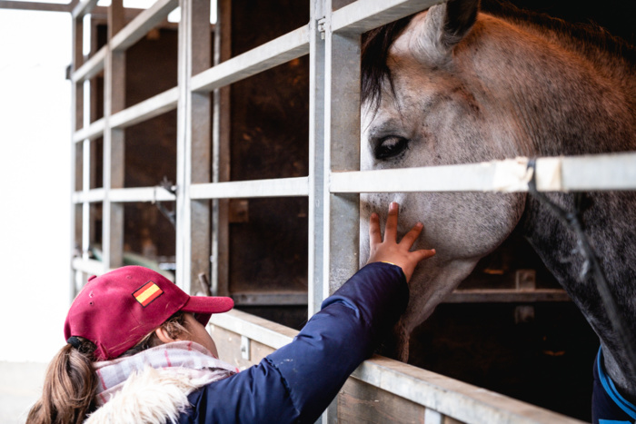 SICAB 2019 SUPERA EN SU PRIMERA JORNADA LA VENTA DE ENTRADAS ONLINE DE TODA LA PASADA EDICIÓN SICAB 2019 SUPERA EN SU PRIMERA JORNADA LA VENTA DE ENTRADAS ONLINE DE TODA LA PASADA EDICIÓN