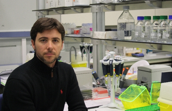 Un estudio pionero desarrollado con nanotecnología por el granadino Raúl Pérez-Jiménez sugiere que la invasión del virus VIH también puede estar regulada por fuerzas mecánicas que suceden a nanoescala Un estudio pionero desarrollado con nanotecnología por el granadino Raúl Pérez-Jiménez sugiere que la invasión del virus VIH también puede estar regulada por fuerzas mecánicas que suceden a nanoescala