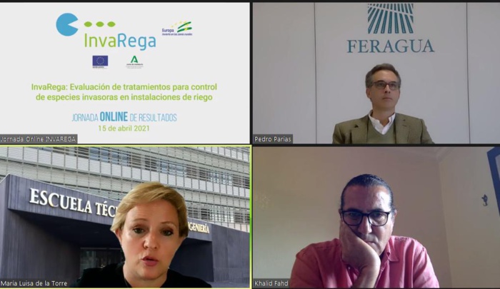 Presentados los resultados del proyecto INVAREGA, que ayudará a paliar los efectos de las especies invasoras en el regadío andaluz Presentados los resultados del proyecto INVAREGA, que ayudará a paliar los efectos de las especies invasoras en el regadío andaluz