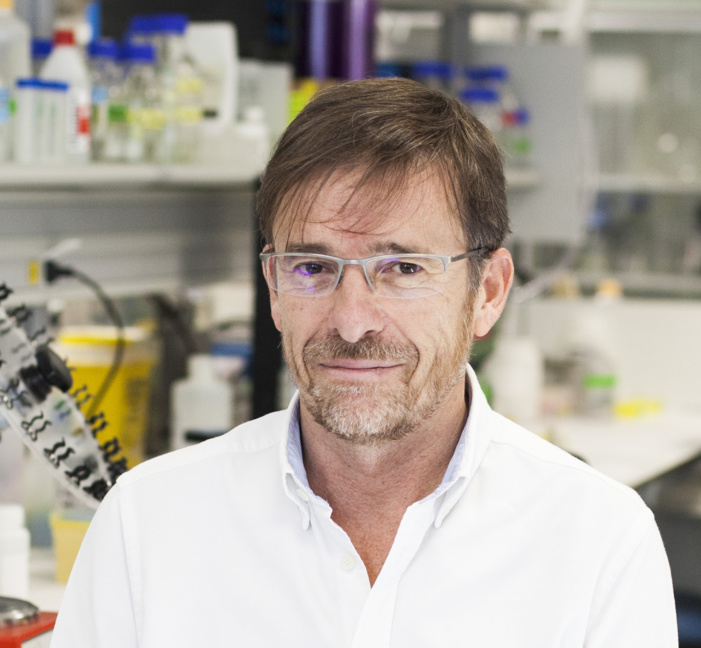 El doctor José Ramón Arribas, del Hospital La Paz de Madrid, nuevo presidente de GeSIDA El doctor José Ramón Arribas, del Hospital La Paz de Madrid, nuevo presidente de GeSIDA