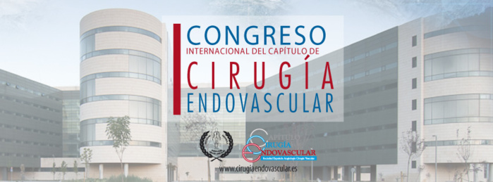 Granada acoge hasta este sábado a más de 200 especialistas que participan en la principal cita científica sobre cirugía endovascular que se celebra en España