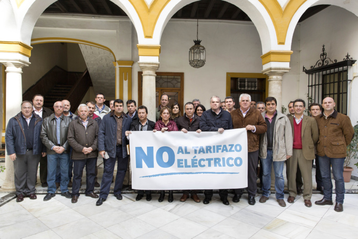 Representantes de Feragua y Areda, las provinciales Coreca (Cádiz), Corehu (Huelva) y Feral (Almería), las organizaciones agrarias Asaja, Coag y Upa, y Grupo Remolachero.