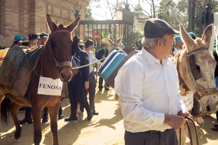 NOTA DE PRENSA (FOTOGRAFÍAS): Más de 7.000 regantes andaluces se concentran para pedir al gobierno una factura eléctrica adaptada a su consumo real y que no los condene a la ruina NOTA DE PRENSA (FOTOGRAFÍAS): Más de 7.000 regantes andaluces se concentran para pedir al gobierno una factura eléctrica adaptada a su consumo real y que no los condene a la ruina