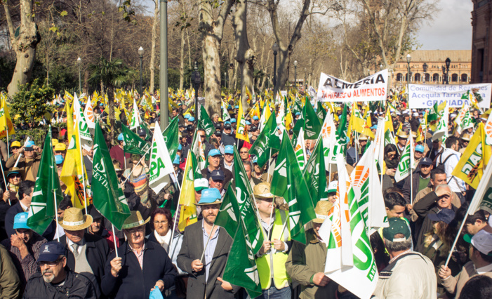 NOTA DE PRENSA (FOTOGRAFÍAS): Más de 7.000 regantes andaluces se concentran para pedir al gobierno una factura eléctrica adaptada a su consumo real y que no los condene a la ruina NOTA DE PRENSA (FOTOGRAFÍAS): Más de 7.000 regantes andaluces se concentran para pedir al gobierno una factura eléctrica adaptada a su consumo real y que no los condene a la ruina