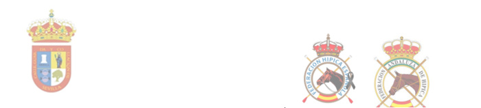 Nota Informativa:OTOÑO HÍPICO EN SALTERAS CON DOS CAMPEONATOS DE ESPAÑA UNO DE ANDALUCÍA Y UN INTERNACIONAL Nota Informativa:OTOÑO HÍPICO EN SALTERAS CON DOS CAMPEONATOS DE ESPAÑA UNO DE ANDALUCÍA Y UN INTERNACIONAL