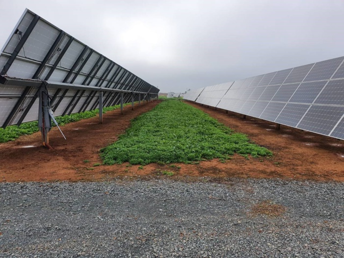 Nota de prensa - El Valle Inferior del Guadalquivir, la primera comunidad de regantes a nivel nacional con el sello ECO20 en el uso de energía renovable Nota de prensa - El Valle Inferior del Guadalquivir, la primera comunidad de regantes a nivel nacional con el sello ECO20 en el uso de energía renovable