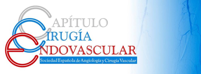 Nota de prensa: Málaga, centro de la cirugía vascular