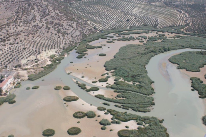 NOTA DE PRENSA: FERAGUA EXIGE LA INCLUSIÓN EN EL NUEVO PLAN HIDROLÓGICO DE UN ACTUACIÓN URGENTE DE REGENERACIÓN DEL EMBALSE DE CORDOBILLA NOTA DE PRENSA: FERAGUA EXIGE LA INCLUSIÓN EN EL NUEVO PLAN HIDROLÓGICO DE UN ACTUACIÓN URGENTE DE REGENERACIÓN DEL EMBALSE DE CORDOBILLA