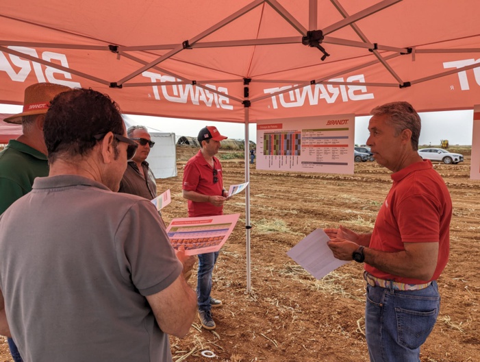 NOTA DE PRENSA: BRANDT CELEBRA UNA JORNADA TÉCNICA DE PATATA PARA MOSTRAR UN ENSAYO DE PRODUCTOS BASADO EN LA REDUCCION DE FERTILIZANTES NOTA DE PRENSA: BRANDT CELEBRA UNA JORNADA TÉCNICA DE PATATA PARA MOSTRAR UN ENSAYO DE PRODUCTOS BASADO EN LA REDUCCION DE FERTILIZANTES