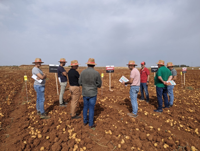 NOTA DE PRENSA: BRANDT CELEBRA UNA JORNADA TÉCNICA DE PATATA PARA MOSTRAR UN ENSAYO DE PRODUCTOS BASADO EN LA REDUCCION DE FERTILIZANTES NOTA DE PRENSA: BRANDT CELEBRA UNA JORNADA TÉCNICA DE PATATA PARA MOSTRAR UN ENSAYO DE PRODUCTOS BASADO EN LA REDUCCION DE FERTILIZANTES