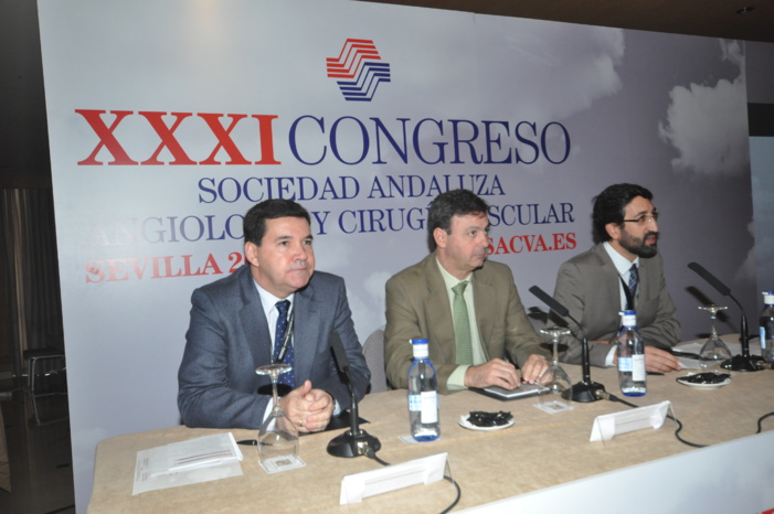 Casi 325.000 sevillanos mayores de 50 años padecen algún tipo de patología de venas y arterias Casi 325.000 sevillanos mayores de 50 años padecen algún tipo de patología de venas y arterias