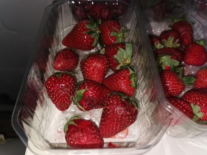 NOTA DE PRENSA/FRESA: UN SISTEMA COMBINADO DE NUTRICIÓN FOLIAR LOGRA INCREMENTAR HASTA UN 21,6 % EL RENDIMIENTO DE LA FRESA, CON UN 18,6 % MÁS DE FRUTOS POR PLANTA Y UNA NOTABLE MEJORA DE LA VIDA POSTCOSECHA NOTA DE PRENSA/FRESA: UN SISTEMA COMBINADO DE NUTRICIÓN FOLIAR LOGRA INCREMENTAR HASTA UN 21,6 % EL RENDIMIENTO DE LA FRESA, CON UN 18,6 % MÁS DE FRUTOS POR PLANTA Y UNA NOTABLE MEJORA DE LA VIDA POSTCOSECHA