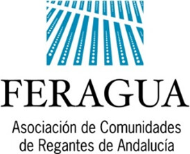 NOTA DE PRENSA:  LAS BORRASCAS PROVOCAN DAÑOS GENERALIZADOS EN INFRAESTRUCTURAS ESTRATÉGICAS DEL REGADÍO ANDALUZ, QUE EXIGEN LA ACTIVACIÓN URGENTE DE LAS AYUDAS EXTRAORDINARIAS PARA SALVAR LA CAMPAÑA DE RIEGO