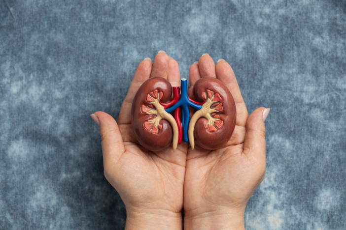 Nota Andalucía - Profesionales sanitarios y pacientes advierten del crecimiento de la Enfermedad Renal Crónica en Andalucía, donde más de 12.000 personas necesitan de tratamiento de diálisis o trasplante para poder seguir viviendo Nota Andalucía - Profesionales sanitarios y pacientes advierten del crecimiento de la Enfermedad Renal Crónica en Andalucía, donde más de 12.000 personas necesitan de tratamiento de diálisis o trasplante para poder seguir viviendo