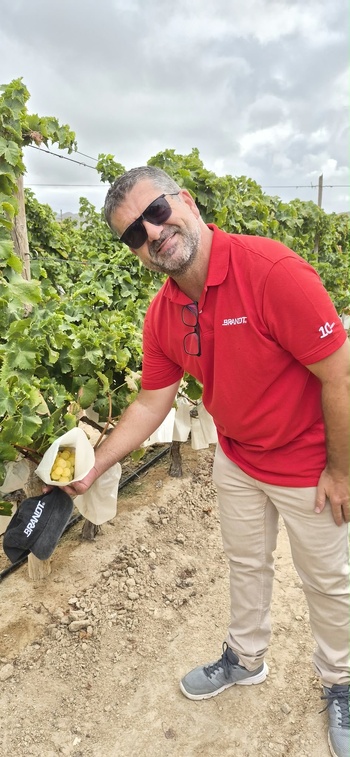 NOTA DE PRENSA: BRANDT ACOMPAÑA AL SECTOR DE LA UVA DE MESA DEL VINALOPÓ EN EL INICIO DE LA CAMPAÑA 2026