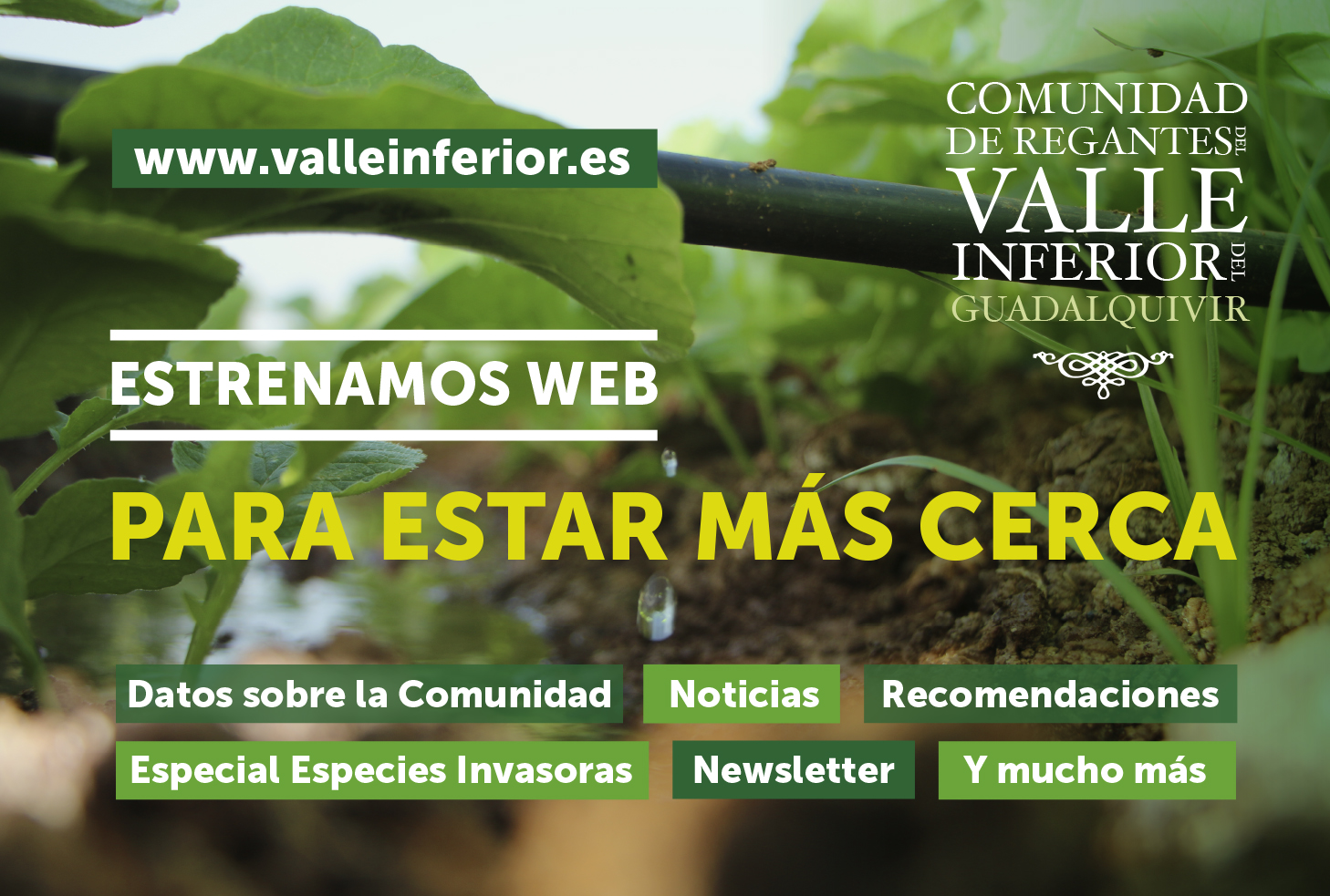 CRR Valle Inferior del Guadalquivir - Estrenamos web
