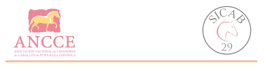 SICAB recibe el reconocimiento del sector turístico de Sevilla con el XI Premio ASET de Turismo Mª José Uruñuela SICAB recibe el reconocimiento del sector turístico de Sevilla con el XI Premio ASET de Turismo Mª José Uruñuela