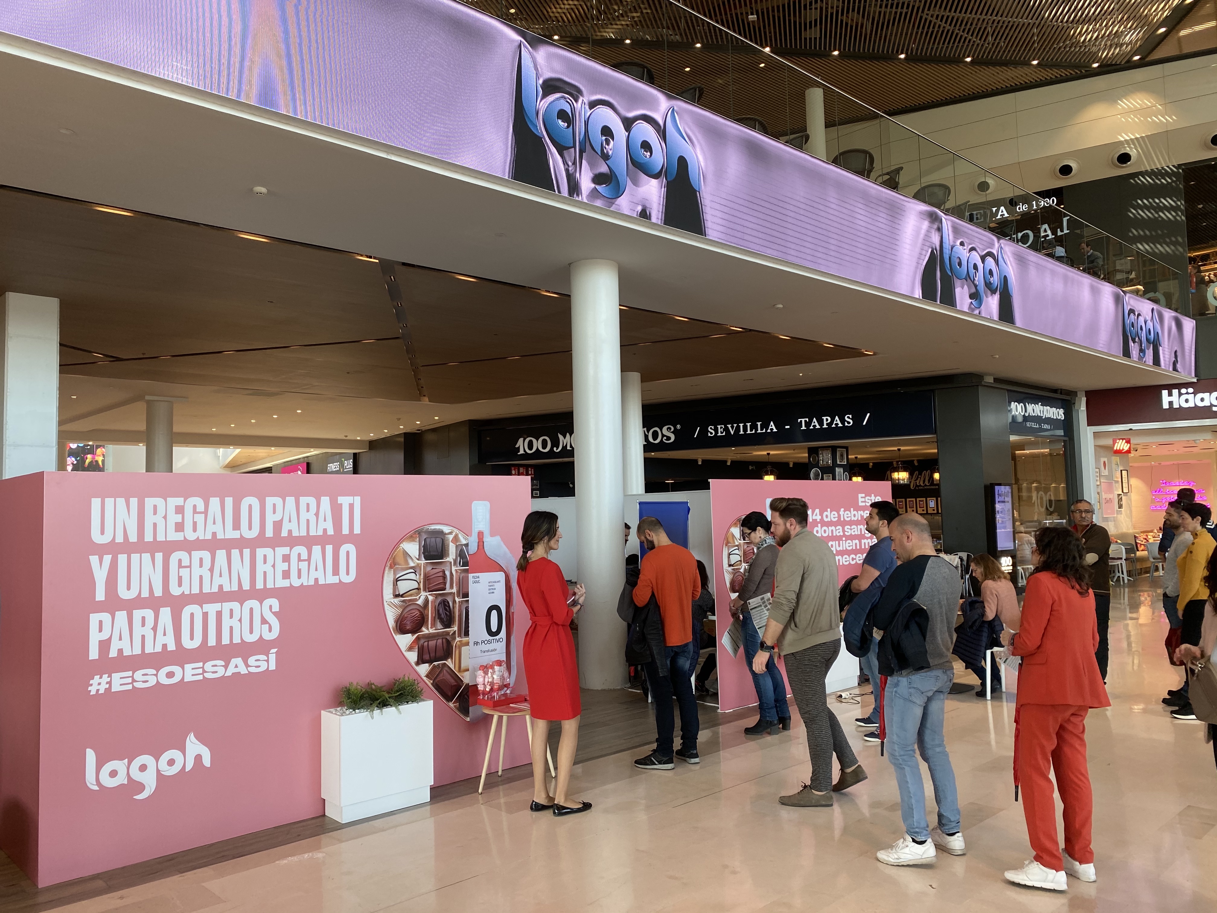 LA CAMPAÑA DE DONACIÓN DE SANGRE EN SAN VALENTÍN DUPLICA LA PREVISIÓN INICIAL DE PARTICIPACIÓN, CON MÁS DE MEDIO CENTENAR DE EXTRACCIONES A MEDIODÍA LA CAMPAÑA DE DONACIÓN DE SANGRE EN SAN VALENTÍN DUPLICA LA PREVISIÓN INICIAL DE PARTICIPACIÓN, CON MÁS DE MEDIO CENTENAR DE EXTRACCIONES A MEDIODÍA