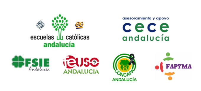 La plataforma ‘Más Plurales’ Andalucía, representante de la concertada y privada, entregará mañana en la Delegación del Gobierno de España una petición para la paralización “inmediata” de la Ley Celaá