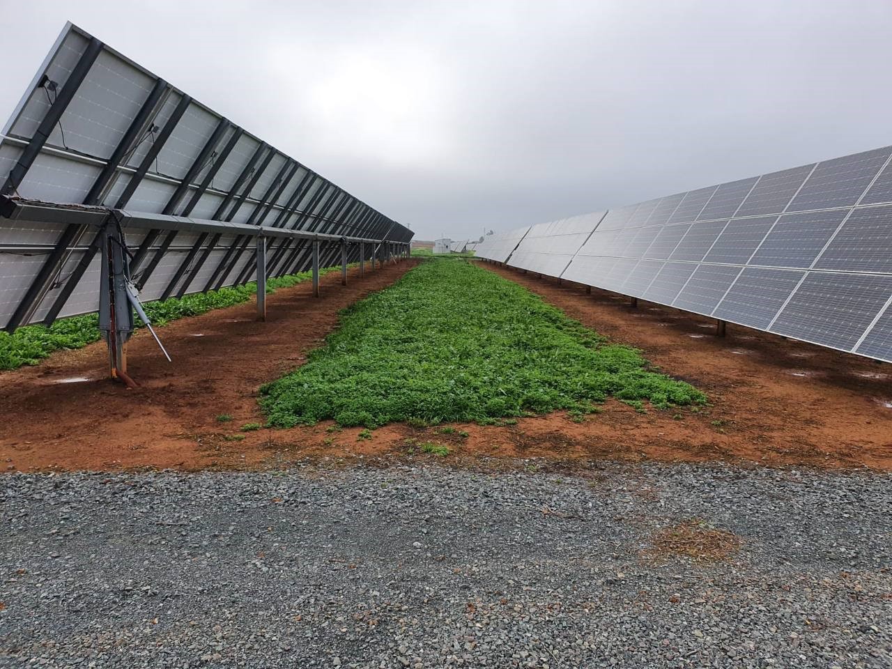 Nota de prensa - El Valle Inferior del Guadalquivir, la primera comunidad de regantes a nivel nacional con el sello ECO20 en el uso de energía renovable Nota de prensa - El Valle Inferior del Guadalquivir, la primera comunidad de regantes a nivel nacional con el sello ECO20 en el uso de energía renovable