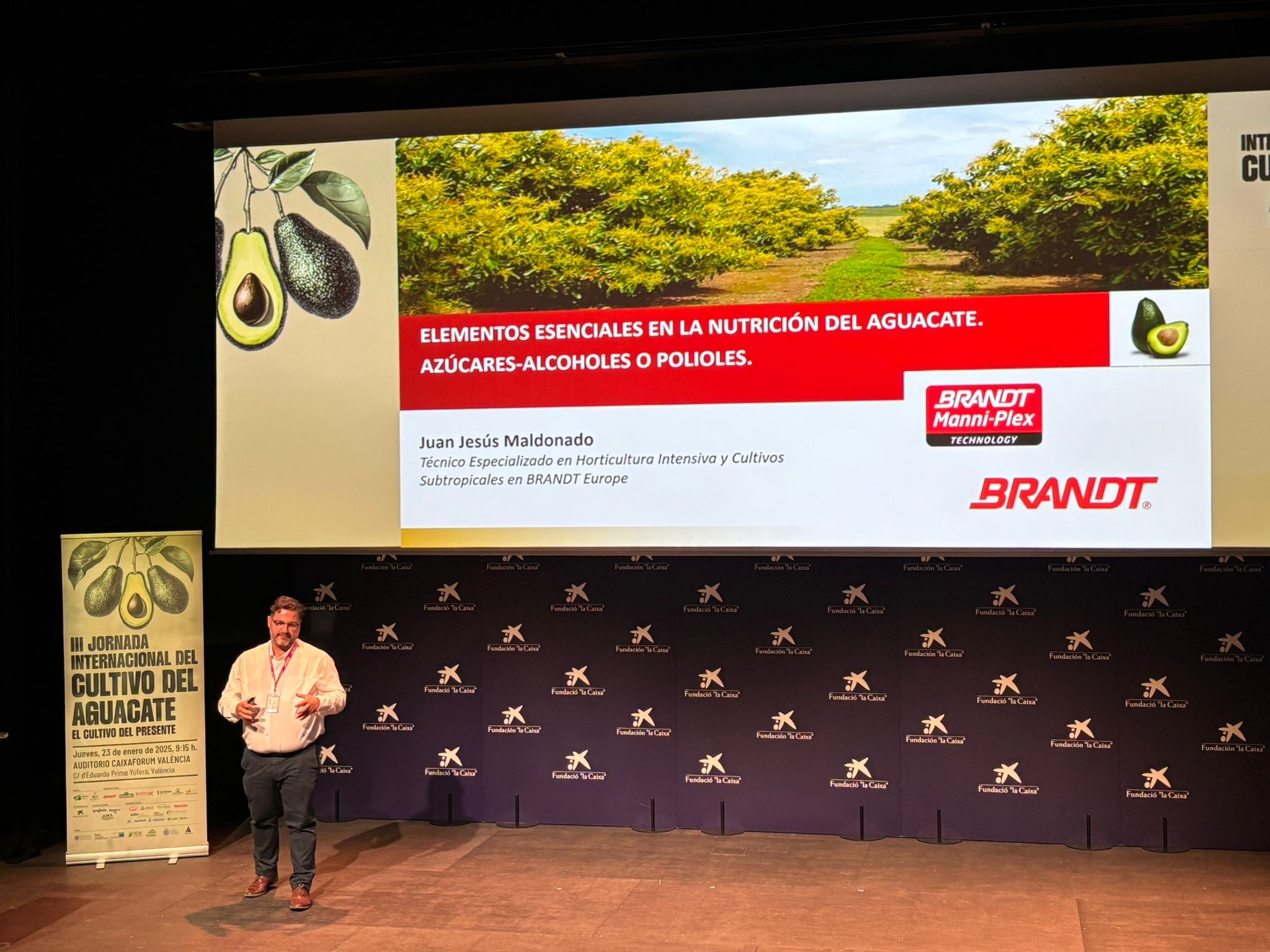 NOTA DE PRENSA: BRANDT en la III Jornada Internacional del Cultivo de Aguacate:  BRANDT MANNI-PLEX Potencia los niveles de Perseitol, Manoheptulosa y Omega 3 en este cultivo