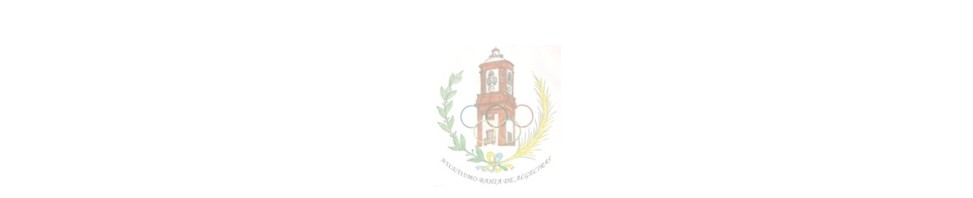 Convocatoria EL BAHÍA DE ALGECIRAS CLAUSURA SUS ESCUELAS DEPORTIVAS MUNICIPALES DE LA TEMPORADA 2024 /2025