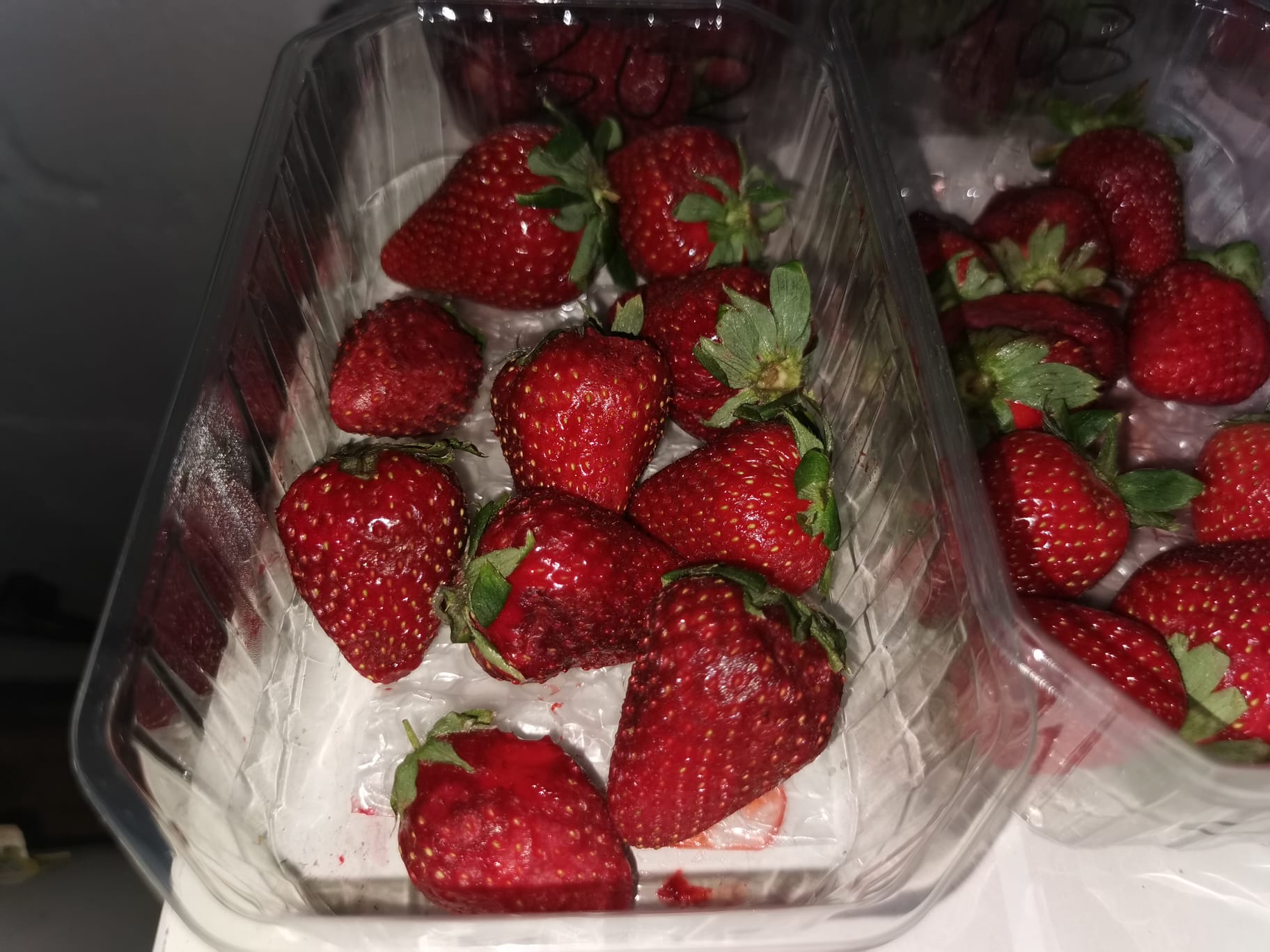 NOTA DE PRENSA/FRESA: UN SISTEMA COMBINADO DE NUTRICIÓN FOLIAR LOGRA INCREMENTAR HASTA UN 21,6 % EL RENDIMIENTO DE LA FRESA, CON UN 18,6 % MÁS DE FRUTOS POR PLANTA Y UNA NOTABLE MEJORA DE LA VIDA POSTCOSECHA