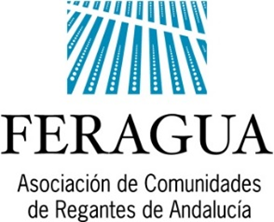 NOTA DE PRENSA:  LAS BORRASCAS PROVOCAN DAÑOS GENERALIZADOS EN INFRAESTRUCTURAS ESTRATÉGICAS DEL REGADÍO ANDALUZ, QUE EXIGEN LA ACTIVACIÓN URGENTE DE LAS AYUDAS EXTRAORDINARIAS PARA SALVAR LA CAMPAÑA DE RIEGO