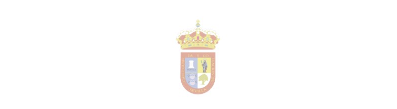 NOTA DE PRENSA: SALTERAS ENTRA DE LLENO EN SU FERIA CON CUATRO DÍAS DE MÚSICA, TRADICIÓN Y ACTIVIDADES PARA TODOS LOS PÚBLICOS