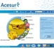 ACESUR.COM