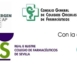 Convocatoria de prensa - Presentación documento de consenso sobre adherencia terapéutica en enfermedades crónicas (Mañana jueves 18/10 12.00 horas)