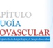 Nota de prensa: Málaga, centro de la cirugía vascular