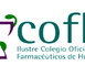 El Colegio de Farmacéuticos de Huelva entrega su máxima distinción, La Carabela La Pinta en su categoría de Oro, a la directora gerente del Hospital Infanta Elena, la farmacéutica Esperanza Quintero