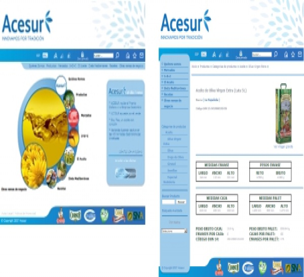 ACESUR.COM