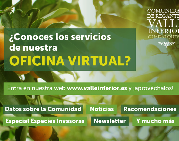 CRR Valle Inferior del Guadalquivir - ¿Conoces los servicios de nuestra oficina virtual?