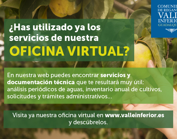 CRR Valle Inferior del Guadalquivir - ¿Has utilizado ya los servicios de nuestra Oficina Virtual?